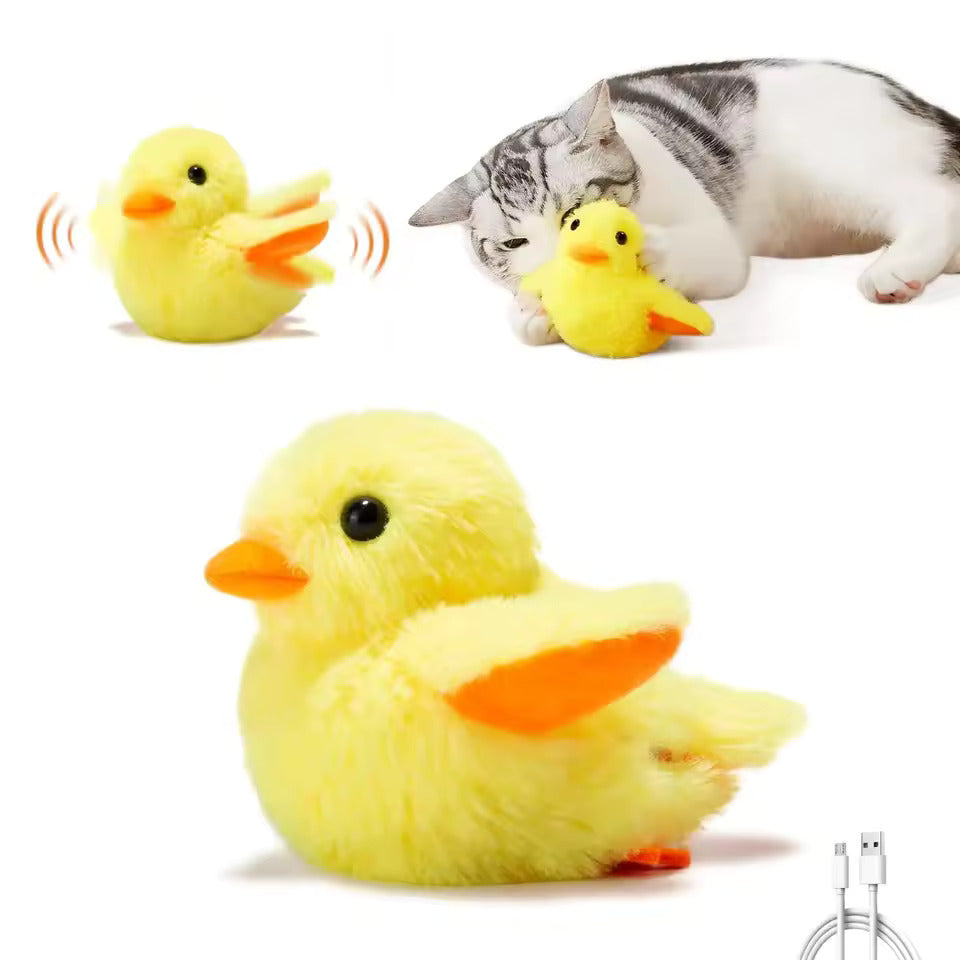 MeowChase Toy